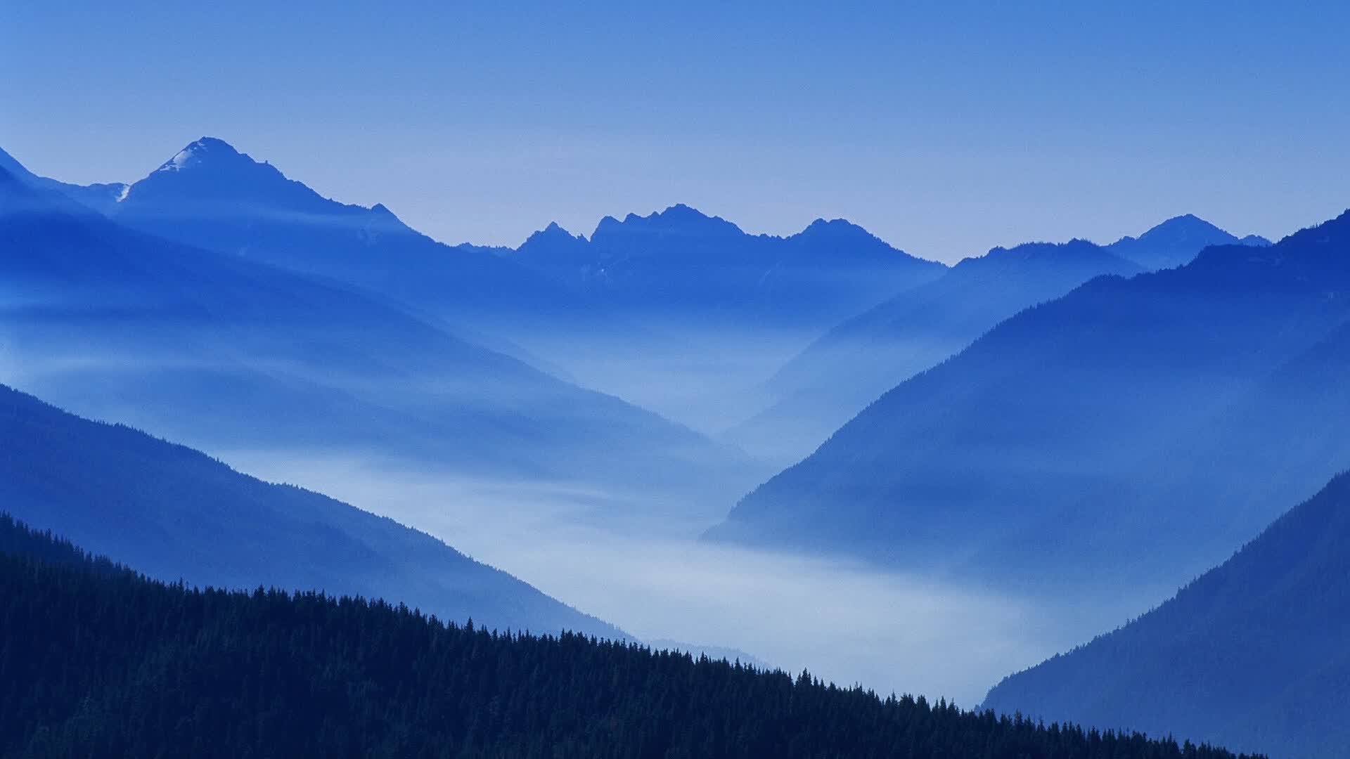 世博杯后社区足球活动与地方财政支持案例，社会足球场补贴政策